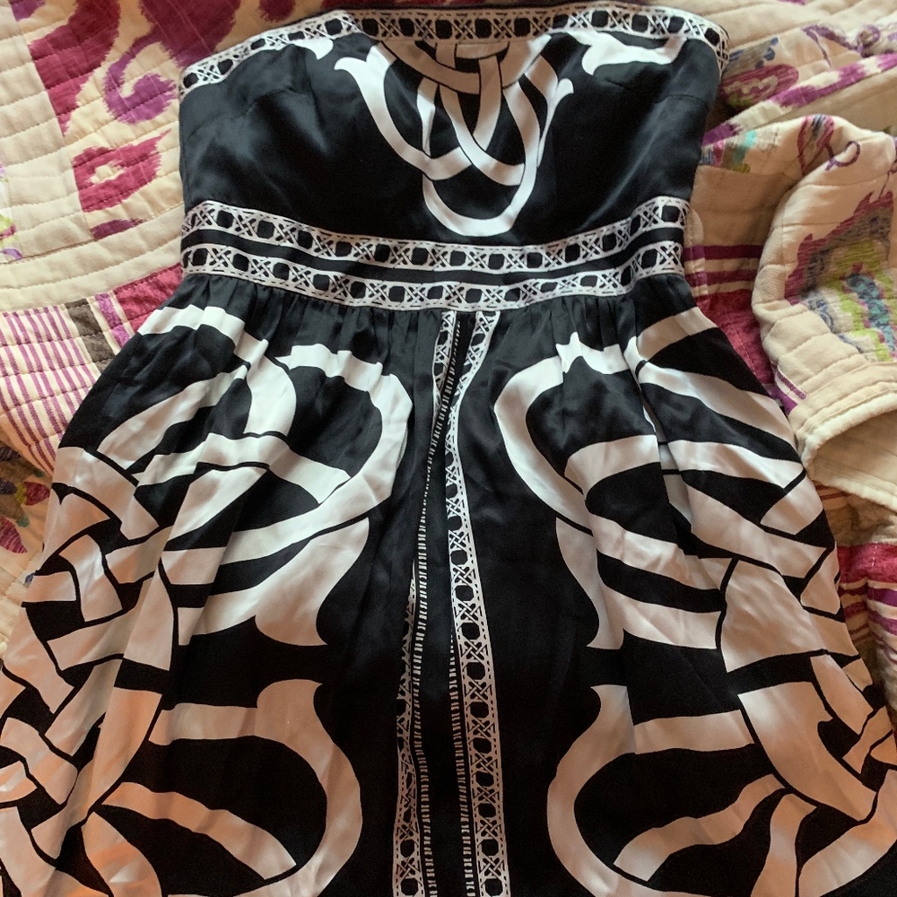 Black and White Fit and Flare Dress